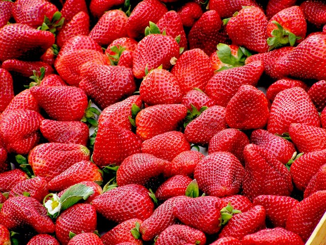 Ventajas de la liofilización en alimentos: Conservación y sabor